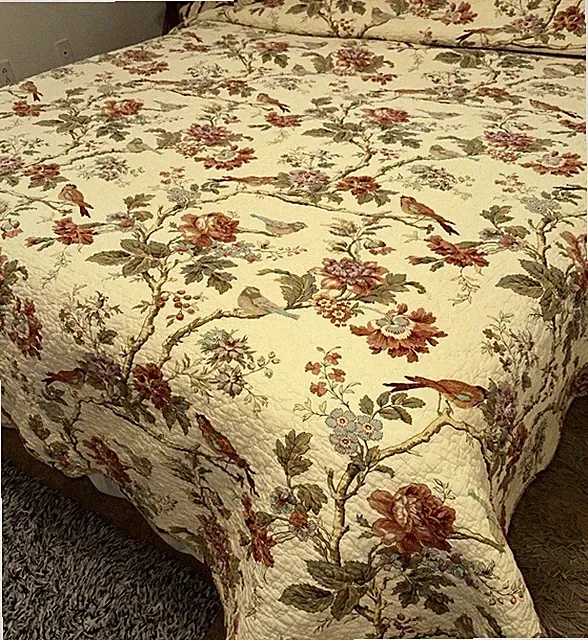 Waverly Charleston Chirp Full/ Queen Reversed Stripe Ruffled Quilt 2 Shams