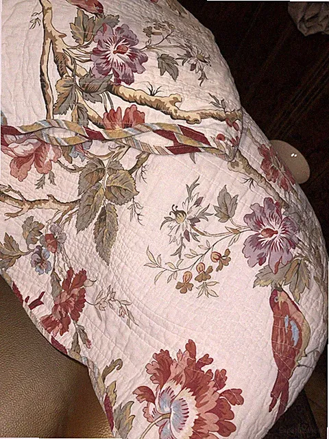 Waverly Charleston Chirp Papaya Reversible Quilt ONLY Queen