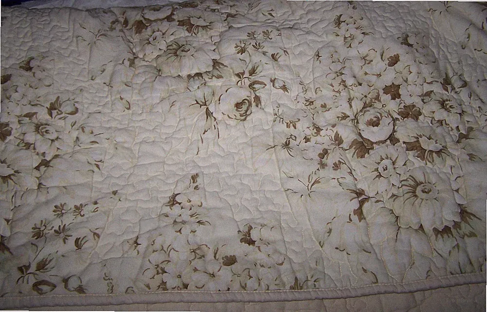 Waverly Full/Queen Quilt with Roses & Daisy Toile Design Americana Beige Back