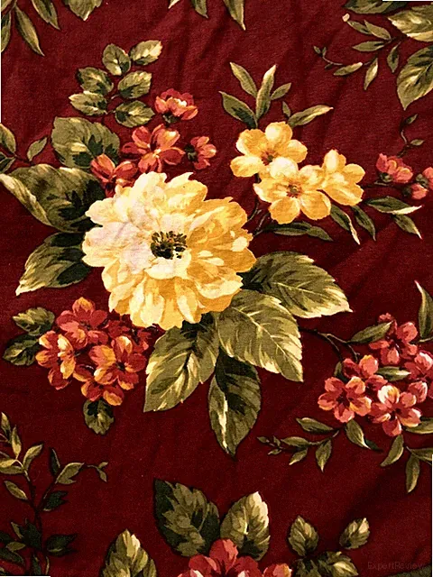 Waverly Garden Room Manor Floral Ruffled Set Of Pillow Shams