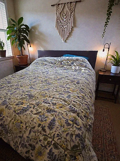 Waverly Imperial Dress Porcelain Floral Queen Comforter Reversible Stripe